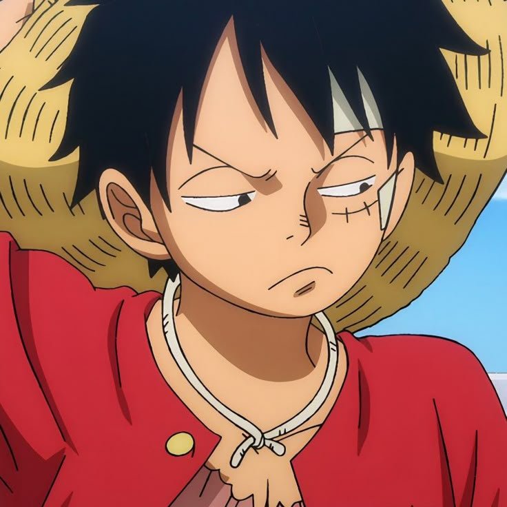 Monkey D. Luffy — Image 44